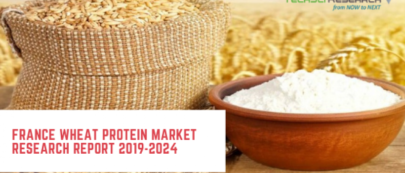 France Wheat Protein Market