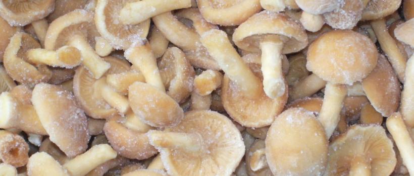Frozen Mushrooms