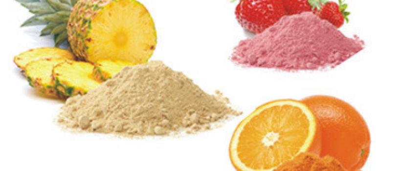  Fruit/Vegetable Powder Market
