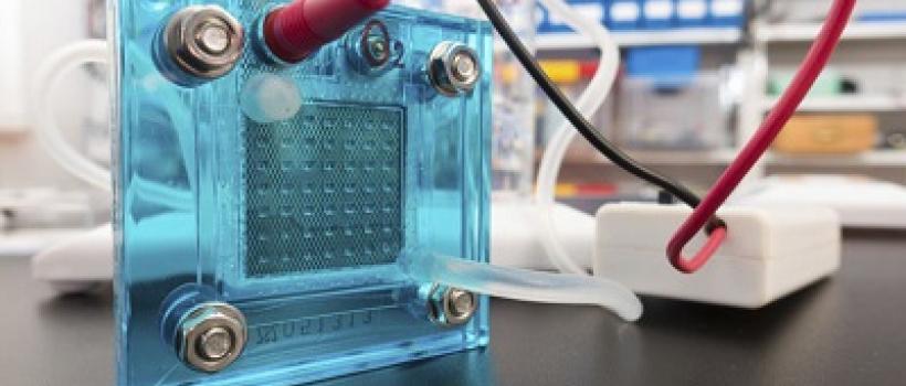 Fuel Cell 