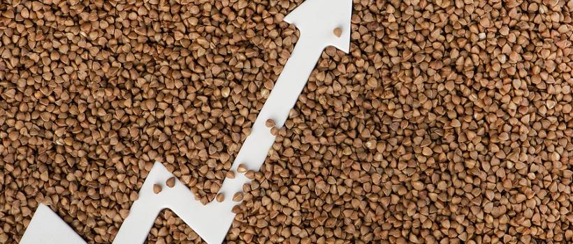 Furfural Derivatives Market