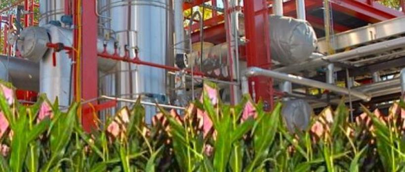  Furfural Market