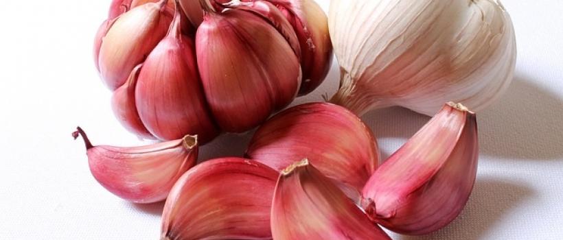 Garlic Market-Fact.MR