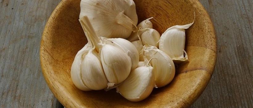Garlic-Market