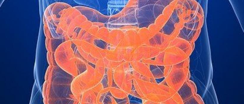 Gastroenterology Lavage Kits 