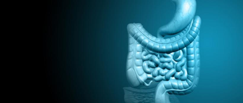 Gastrointestinal Drugs