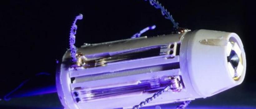 Gastrointestinal Endoscopic Devices