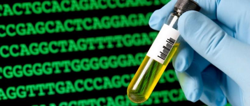 Genetic Testing Services