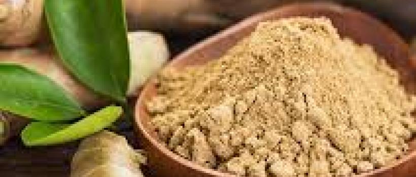 Ginger Powder/Ginger Extract 