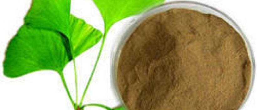 Ginkgo Biloba Extract