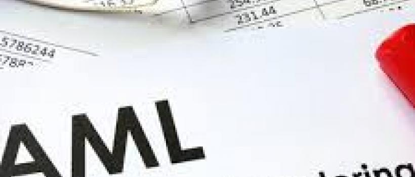 Global Anti-money Laundering Software Market