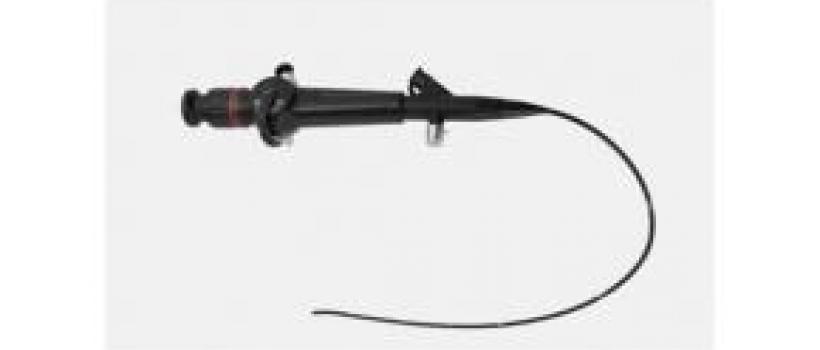 Global Bronchoscopes Market Size, Status and Forecast 2022