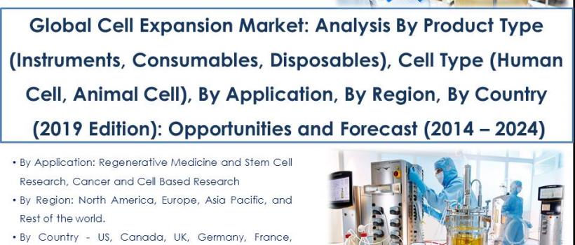 Global Cell Expansion Market