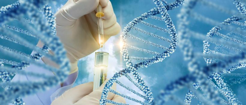 DNA Nanotechnology