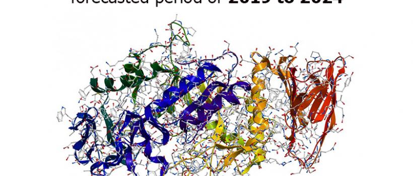 Global Detergent Grade Enzymes Market, Size, Share, Report and Forecast