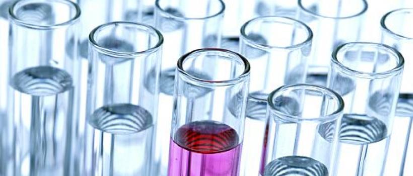 Global Diammonium Phosphate Fertilizer Market to Witness Widespread Expansion 