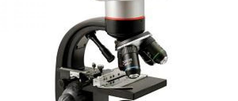 Global Digital Microscope Market 