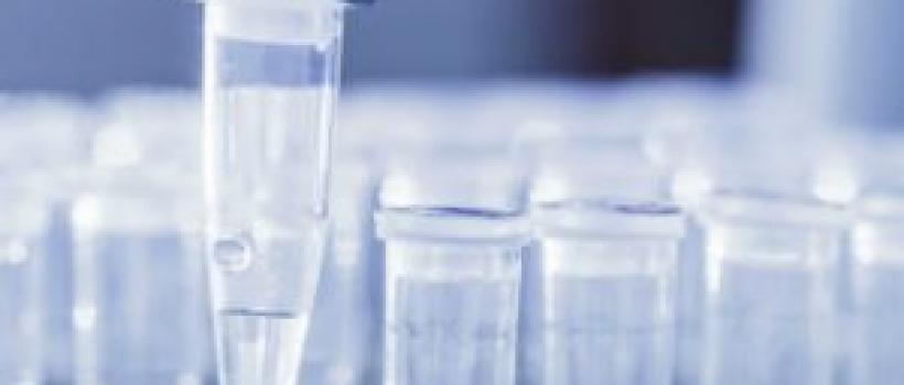 Global Digital PCR (dPCR) and qPCR Market