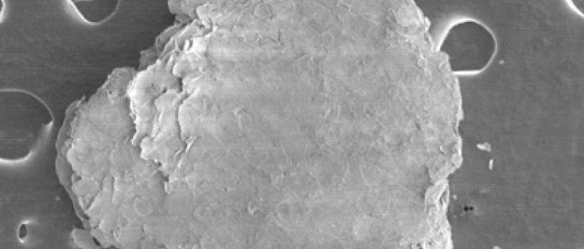 Global Hexagonal Boron Nitride Market