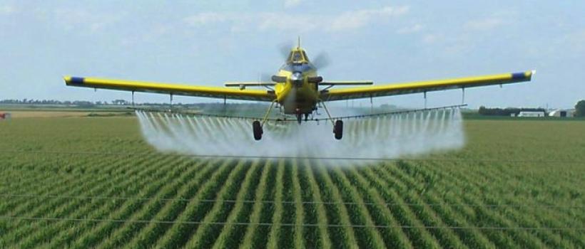 Inorganic Fungicide Market, Inorganic Fungicide Market Forecast, Inorganic Fungicide Market Growth, Inorganic Fungicide Market Report, Inorganic Fungicide Market Share, Inorganic Fungicide Market Size, Inorganic Fungicide Market Trends