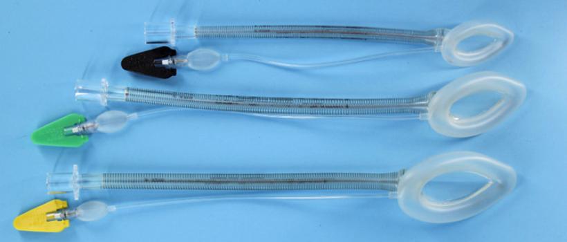 Global Laryngeal Mask Market