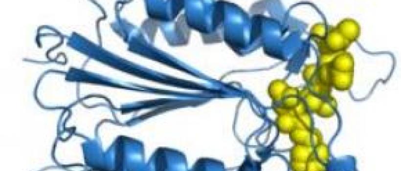 Global Lectins Market Research Report 2017