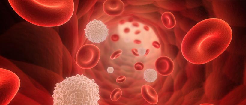 Global Leukemia Therapeutics Market