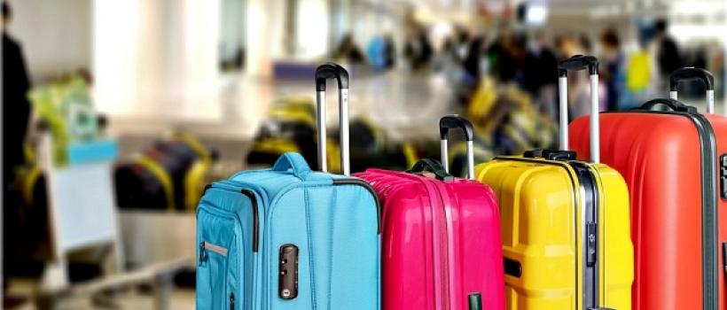 Global Luggage Market 