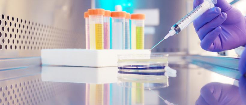 Global Morquio Syndrome (MPS-IV) Drug 