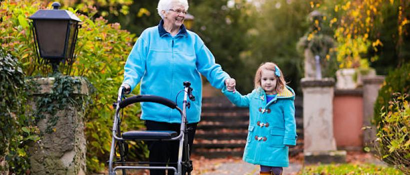 Global Rollator Walker market