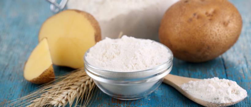 The global starch and starch product market 