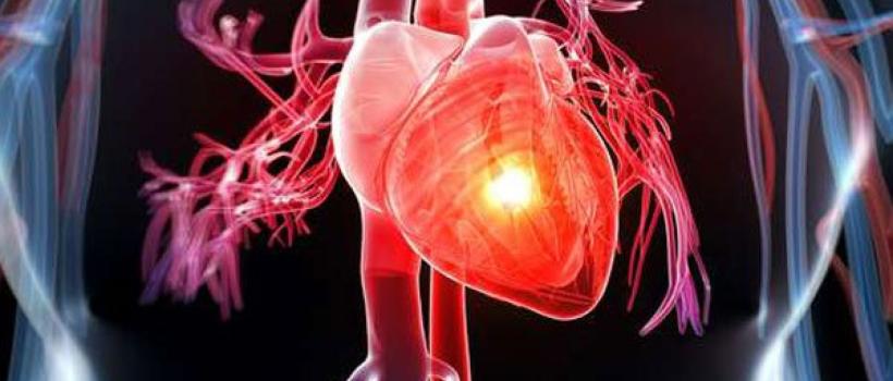 Global Vascular Imaging
