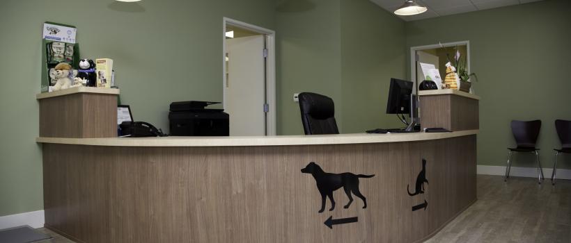 Veterinary Furniture Market 