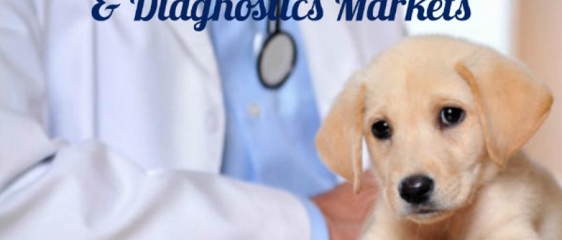 Animal Therapeutics and Diagnostics