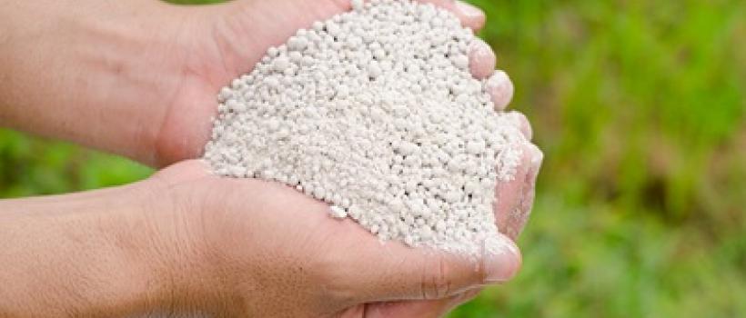 Phosphoric Fertilizer market