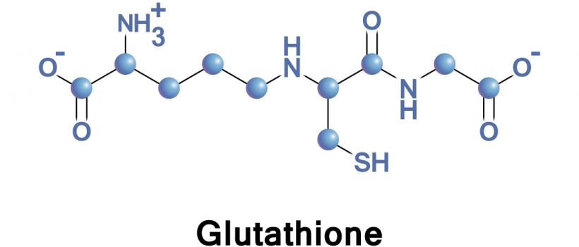 Glutathione Market
