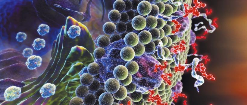 Glycobiology Market
