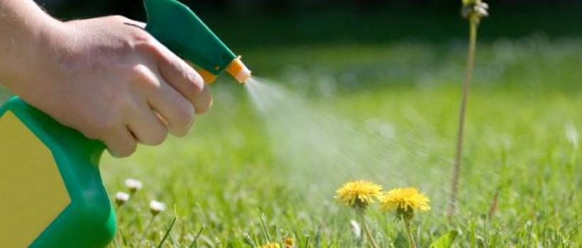 Glyphosate Market