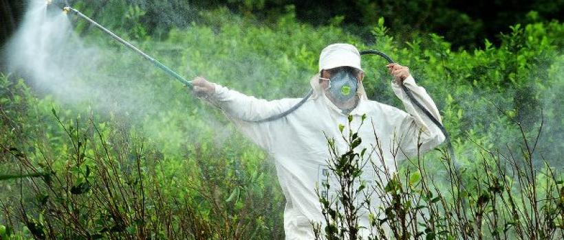 Glyphosate