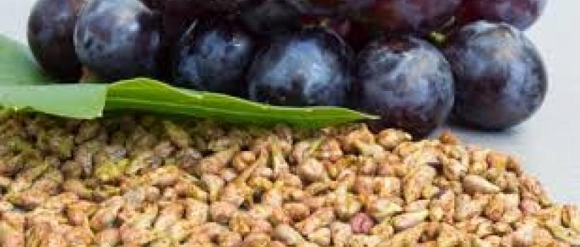 Grape Seed Extract