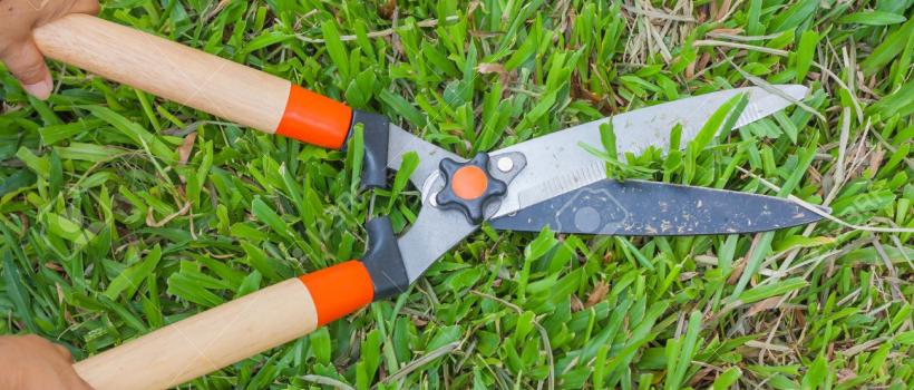 Grass Shears, Grass Shears Market, Grass Shears Market Growth