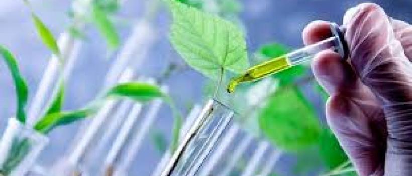Green & Bio-based Solvents