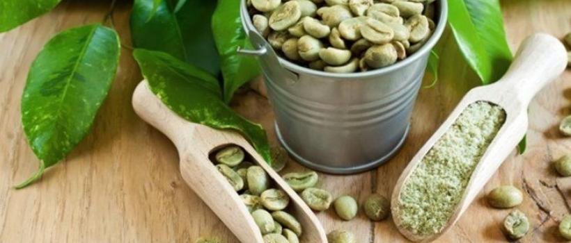 Green Coffee Bean Chlorogenic Acid Industry