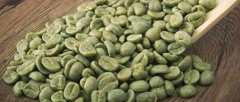 Green Coffee Extract