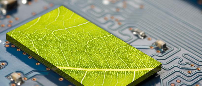 Green IT Services Market