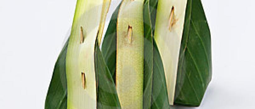 Green Packaging Market