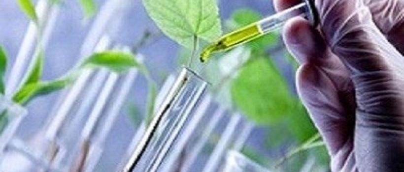 Green and Bio Solvents