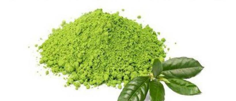 Green and Bio Solvents, Green and Bio Solvents Market, Green and Bio Solvents Market Growth