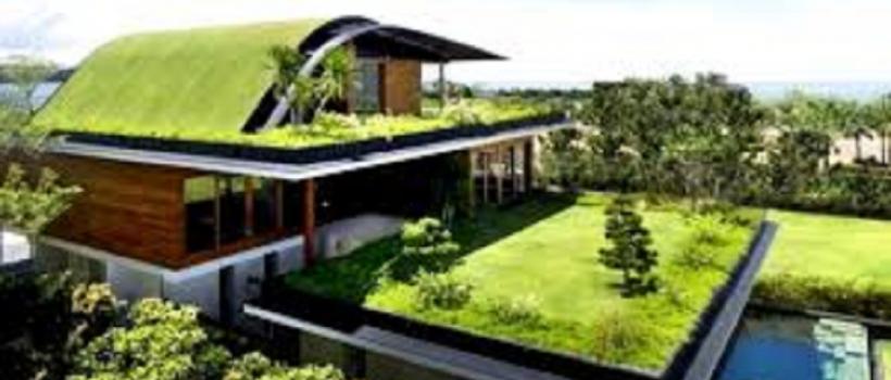 Green-Roof