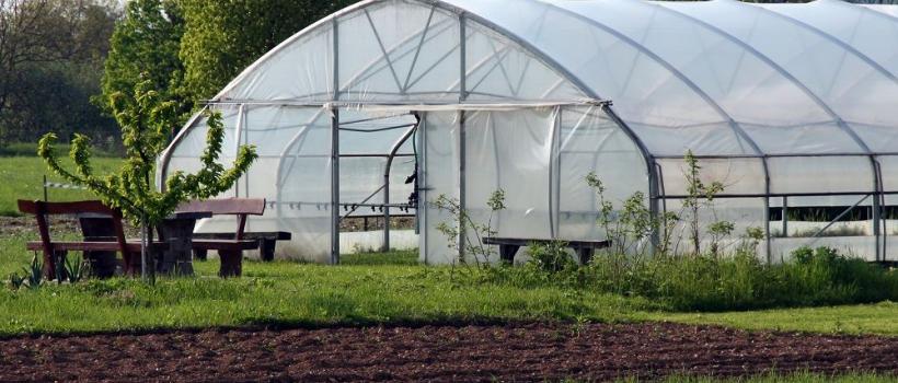Greenhouse Horticulture, Greenhouse Horticulture Market, Greenhouse Horticulture Market Growth